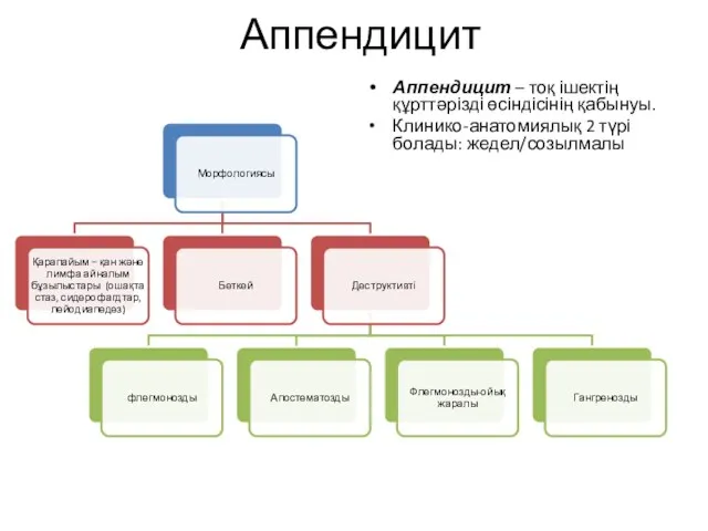 Аппендицит Аппендицит – тоқ ішектің құрттәрізді өсіндісінің қабынуы. Клинико-анатомиялық 2 түрі болады: жедел/созылмалы