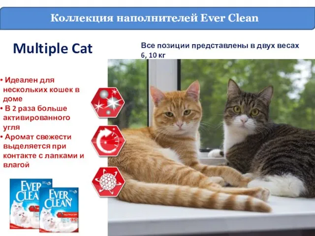 Все позиции представлены в двух весах 6, 10 кг Multiple Cat