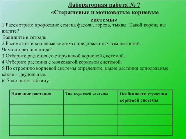 1.Рассмотрите проросшие семена фасоли, гороха, тыквы. Какой корень вы видите? Запишите