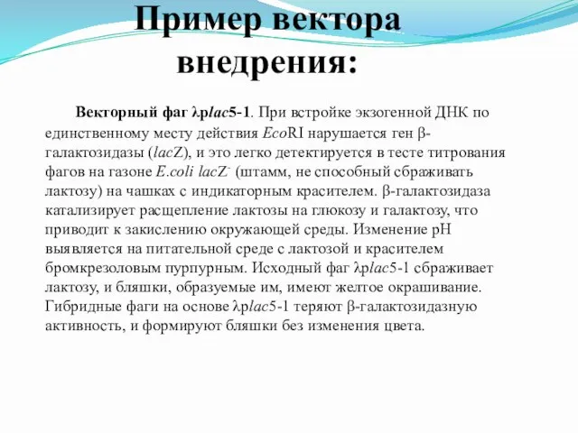 Пример вектора внедрения: Векторный фаг λplac5-1. При встройке экзогенной ДНК по