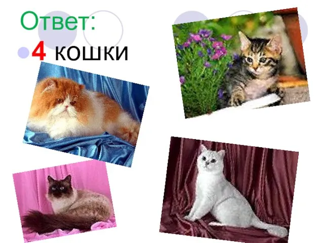 Ответ: 4 кошки