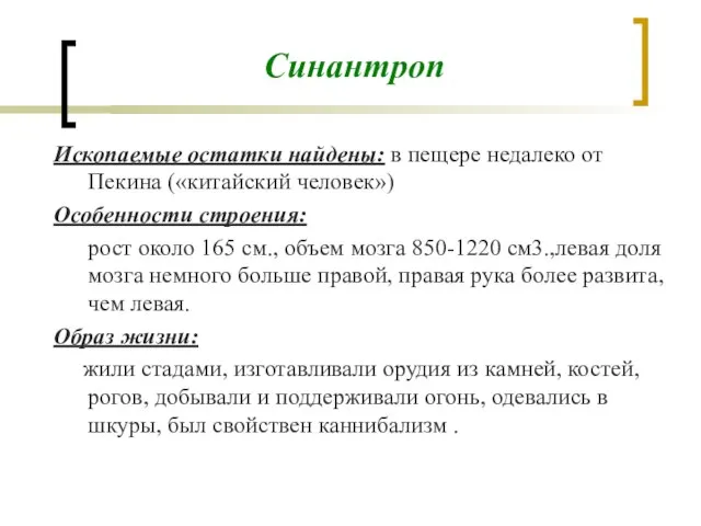 Синантроп Ископаемые остатки найдены: в пещере недалеко от Пекина («китайский человек»)