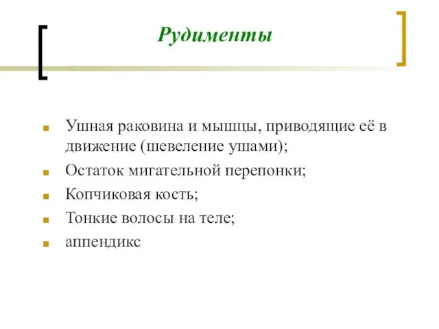 Рудименты Ушная раковина и мышцы, приводящие её в движение (шевеление ушами);