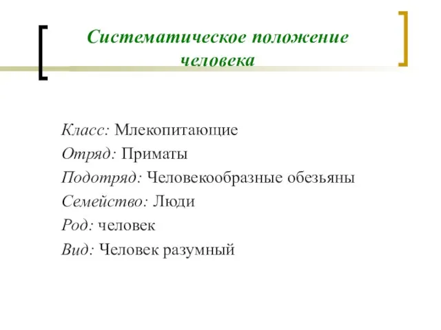 Систематическое положение человека Класс: Млекопитающие Отряд: Приматы Подотряд: Человекообразные обезьяны Семейство: