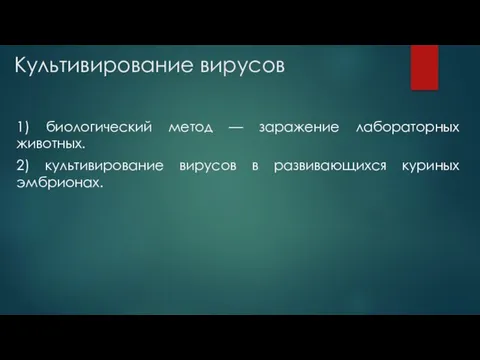 Культивирование вирусов 1) биологический метод — заражение лабораторных животных. 2) культивирование вирусов в развивающихся куриных эмбрионах.