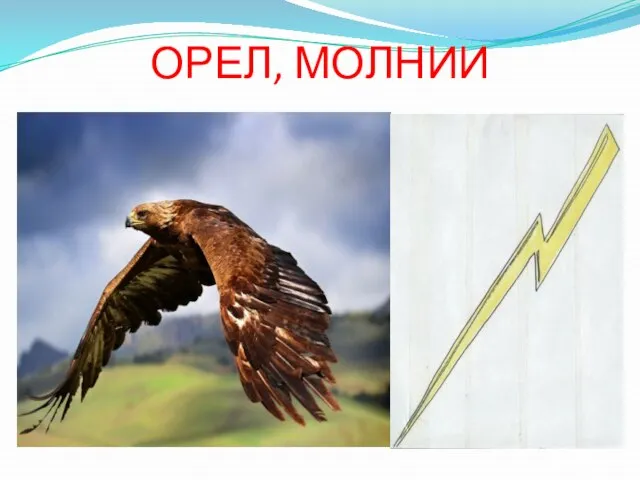 ОРЕЛ, МОЛНИИ