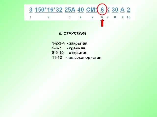 6. СТРУКТУРА