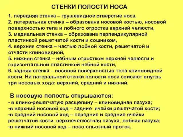 1. передняя стенка – грушевидное отверстие носа, 2. латеральная стенка –