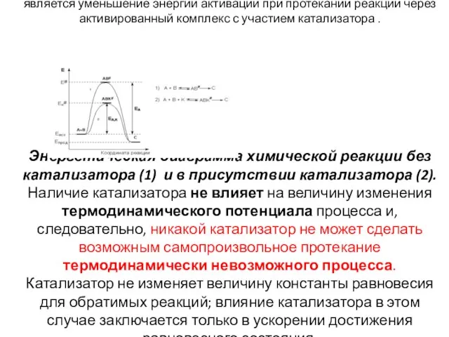 Причиной увеличения скорости реакции при положительном катализе является уменьшение энергии активации