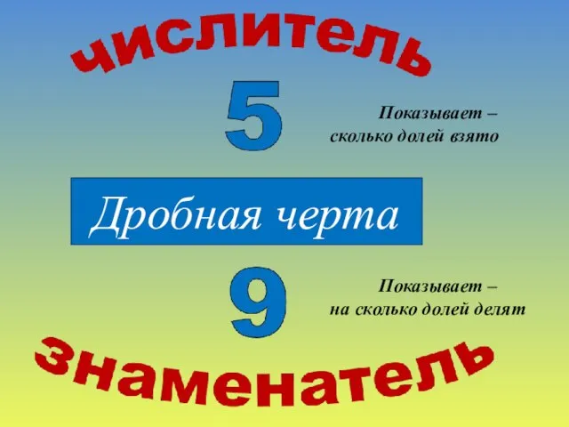 Дробная черта Показывает – сколько долей взято Показывает – на сколько долей делят