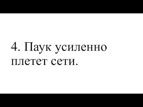 4. Паук усиленно плетет сети.