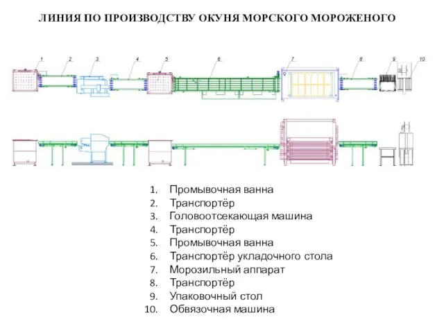 Промывочная ванна Транспортёр Головоотсекающая машина Транспортёр Промывочная ванна Транспортёр укладочного стола