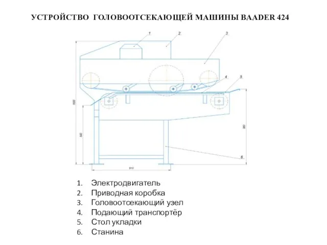 УСТРОЙСТВО ГОЛОВООТСЕКАЮЩЕЙ МАШИНЫ BAADER 424 Электродвигатель Приводная коробка Головоотсекающий узел Подающий транспортёр Стол укладки Станина