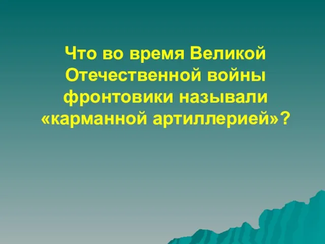 Что во время Великой Отечественной войны фронтовики называли «карманной артиллерией»?