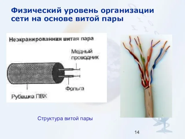 Физический уровень организации сети на основе витой пары Структура витой пары