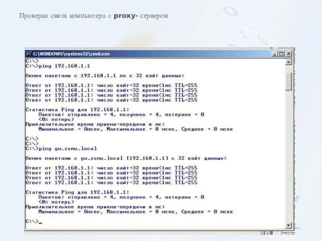 Проверка связи компьютера с proxy- сервером