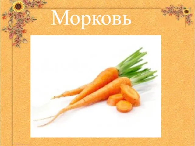 Морковь