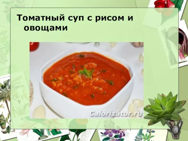 Томатный суп с рисом и овощами