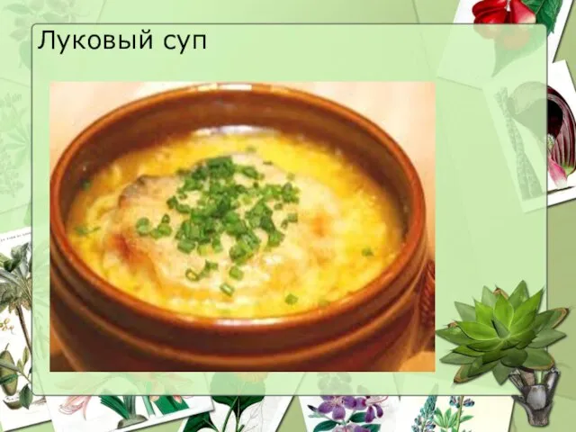 Луковый суп