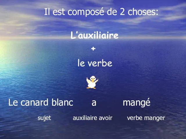 L’auxiliaire Le canard blanc a mangé sujet auxiliaire avoir verbe manger