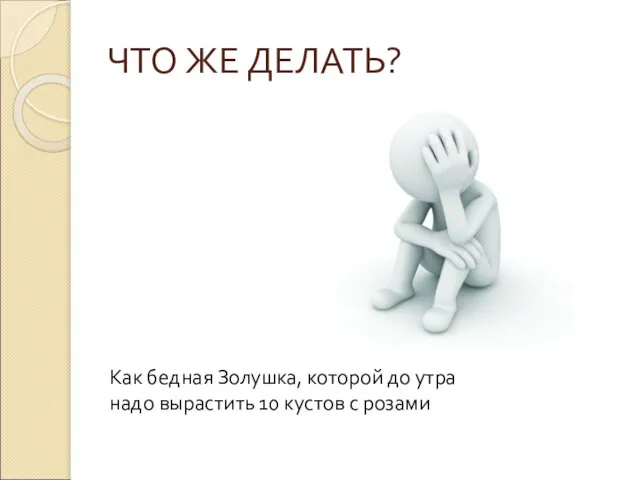 ЧТО ЖЕ ДЕЛАТЬ? Как бедная Золушка, которой до утра надо вырастить 10 кустов с розами