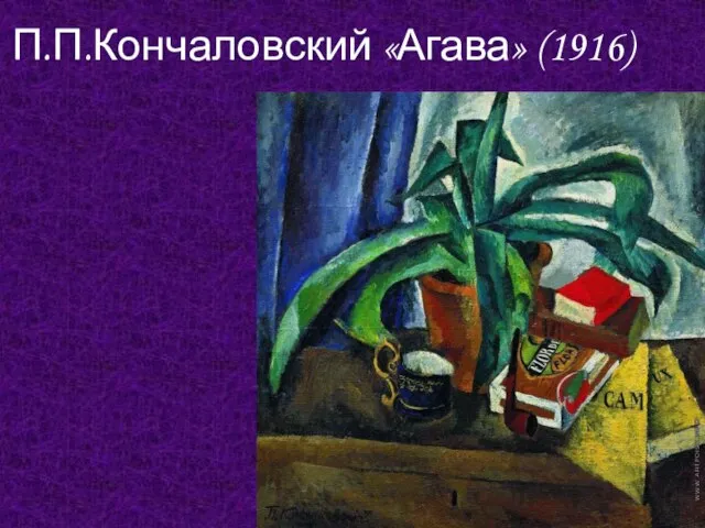 П.П.Кончаловский «Агава» (1916)