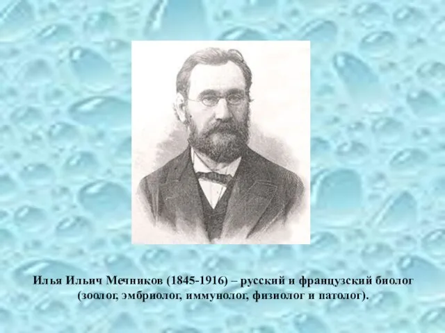 Илья Ильич Мечников (1845-1916) – русский и французский биолог (зоолог, эмбриолог, иммунолог, физиолог и патолог).