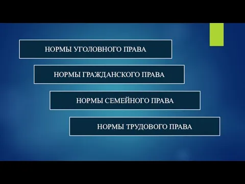 НОРМЫ УГОЛОВНОГО ПРАВА НОРМЫ ГРАЖДАНСКОГО ПРАВА НОРМЫ СЕМЕЙНОГО ПРАВА НОРМЫ ТРУДОВОГО ПРАВА