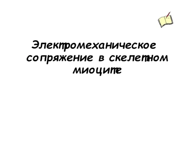 Электромеханическое сопряжение в скелетном миоците