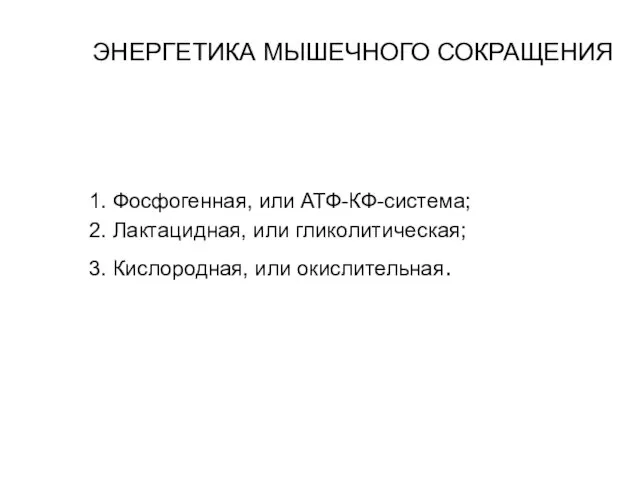 ЭНЕРГЕТИКА МЫШЕЧНОГО СОКРАЩЕНИЯ 1. Фосфогенная, или АТФ-КФ-система; 2. Лактацидная, или гликолитическая; 3. Кислородная, или окислительная.