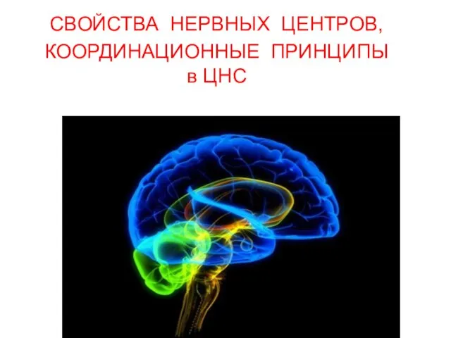 СВОЙСТВА НЕРВНЫХ ЦЕНТРОВ, КООРДИНАЦИОННЫЕ ПРИНЦИПЫ в ЦНС