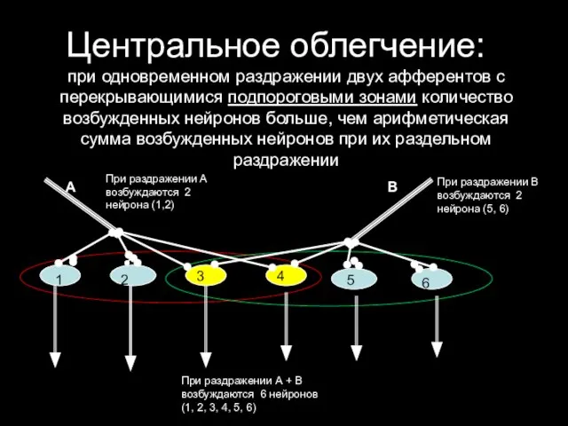 Центральное облегчение: при одновременном раздражении двух афферентов с перекрывающимися подпороговыми зонами