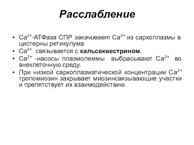 Расслабление Ca2+‑АТФаза СПР закачивает Са2+ из саркоплазмы в цистерны ретикулума Ca2+