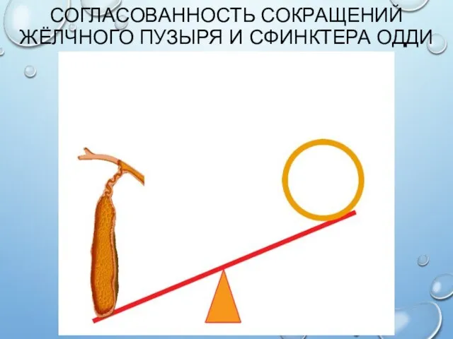 СОГЛАСОВАННОСТЬ СОКРАЩЕНИЙ ЖЁЛЧНОГО ПУЗЫРЯ И СФИНКТЕРА ОДДИ