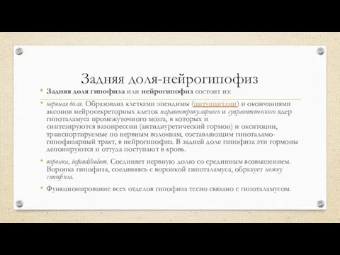 Задняя доля-нейрогипофиз Задняя доля гипофиза или нейрогипофиз состоит из: нервная доля.