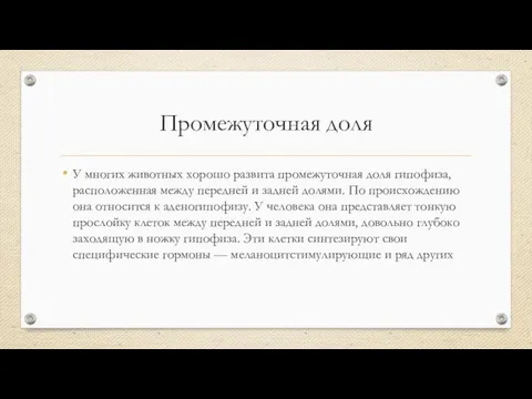 Промежуточная доля У многих животных хорошо развита промежуточная доля гипофиза, расположенная