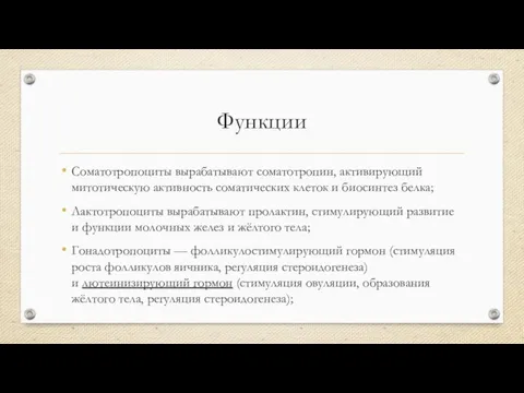 Функции Соматотропоциты вырабатывают соматотропин, активирующий митотическую активность соматических клеток и биосинтез