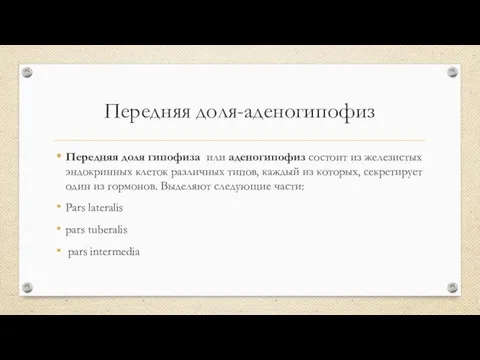 Передняя доля-аденогипофиз Передняя доля гипофиза или аденогипофиз состоит из железистых эндокринных