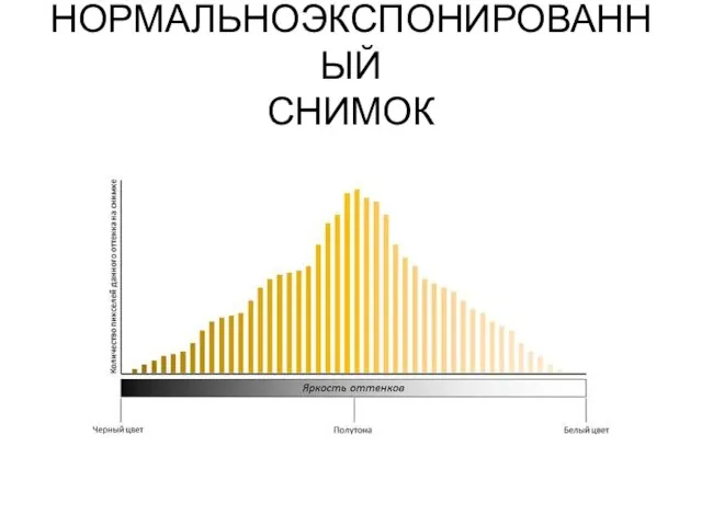 НОРМАЛЬНОЭКСПОНИРОВАННЫЙ СНИМОК