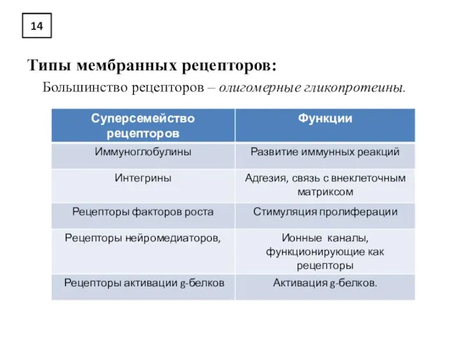 14 Типы мембранных рецепторов: Большинство рецепторов – олигомерные гликопротеины.