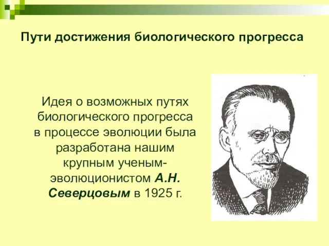 Пути достижения биологического прогресса Идея о возможных путях биологического прогресса в