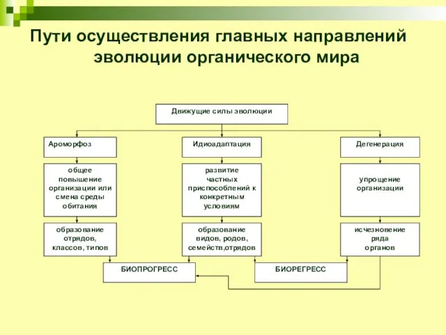 Пути осуществления главных направлений эволюции органического мира