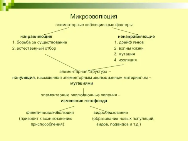 Микроэволюция элементарные эволюционные факторы направляющие ненаправляющие 1. борьба за существование 1.