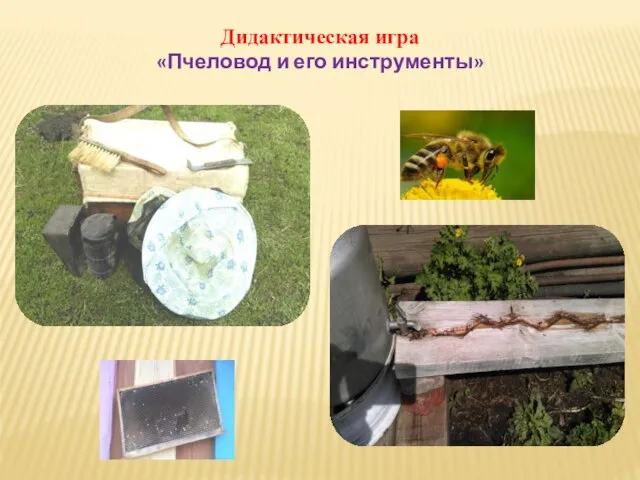 Дидактическая игра «Пчеловод и его инструменты»