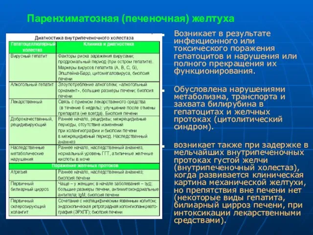 Паренхиматозная (печеночная) желтуха Возникает в результате инфекционного или токсического поражения гепатоцитов