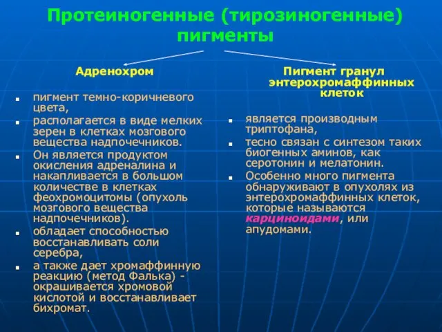 Протеиногенные (тирозиногенные) пигменты Адренохром пигмент темно-коричневого цвета, располагается в виде мелких