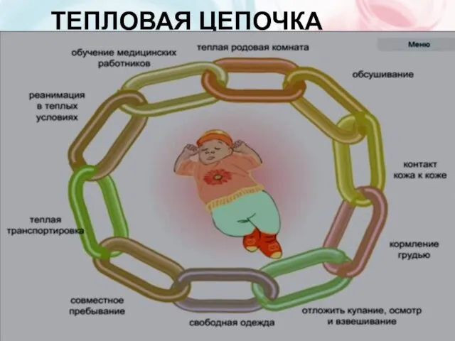 ТЕПЛОВАЯ ЦЕПОЧКА