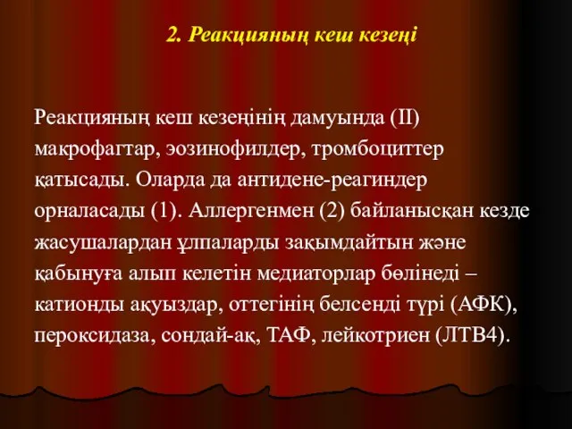 2. Реакцияның кеш кезеңі Реакцияның кеш кезеңінің дамуында (II) макрофагтар, эозинофилдер,