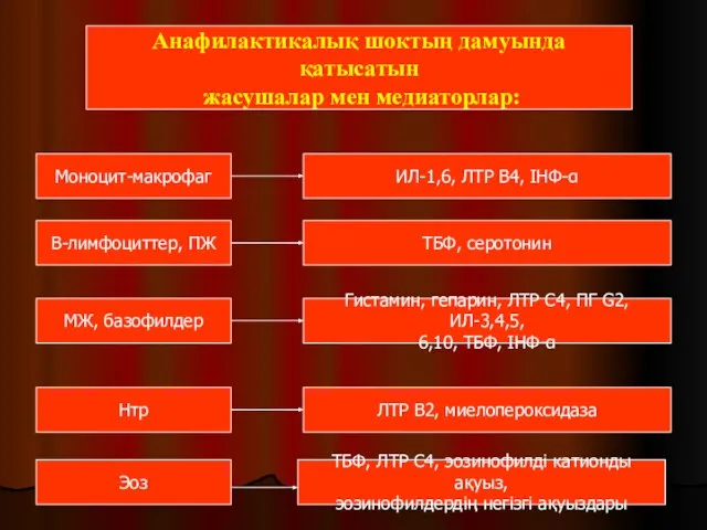 Анафилактикалық шоктың дамуында қатысатын жасушалар мен медиаторлар: Моноцит-макрофаг В-лимфоциттер, ПЖ МЖ,