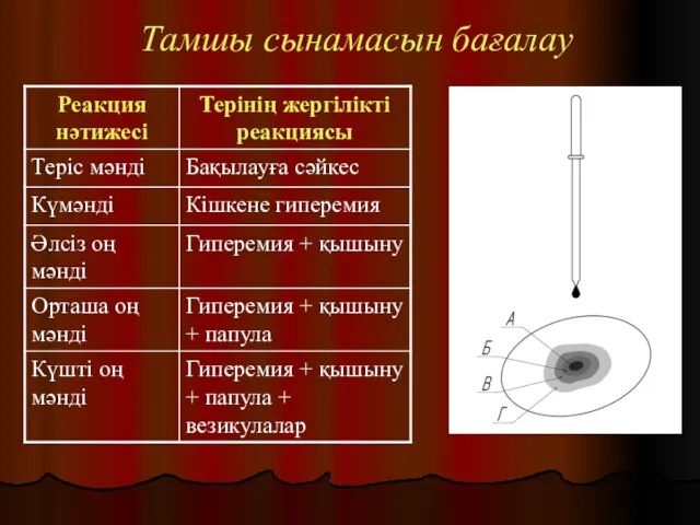 Тамшы сынамасын бағалау